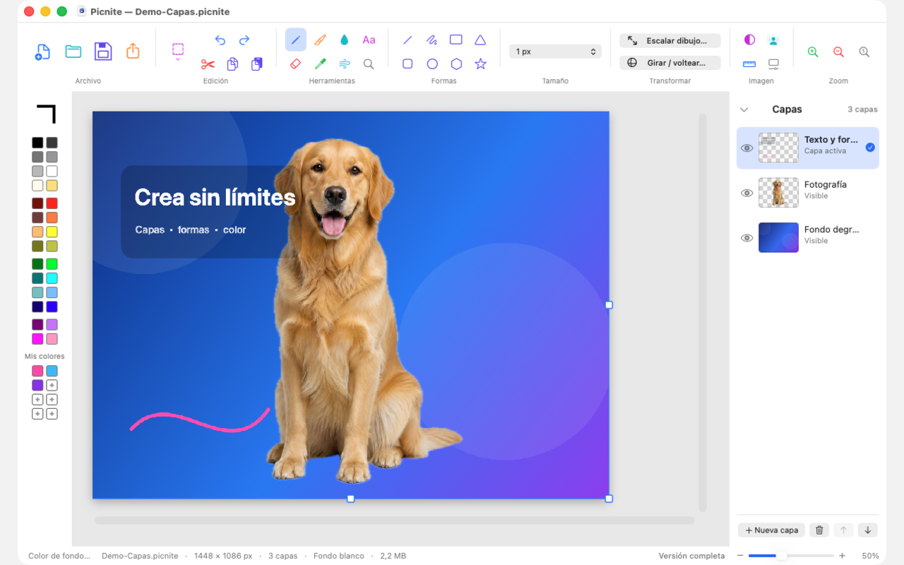 Capas y proyecto .picnite